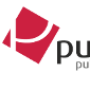 LOGO TIPO PUBLIRÁDIO